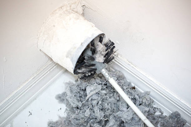 Best Air Duct Sanitizing Services  in Santee, SC
